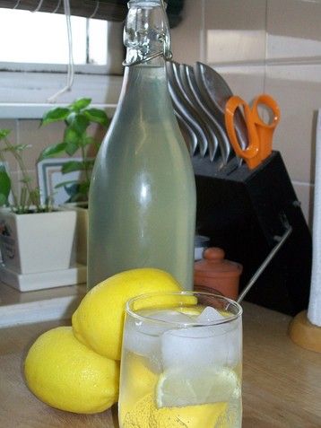 Lemon Squash Drink, Cooling Glass, Squash Drink, Lemon Squash, Childhood Summer, Elderflower Cordial, Squash Recipe, Chutney Recipes, Squash Recipes