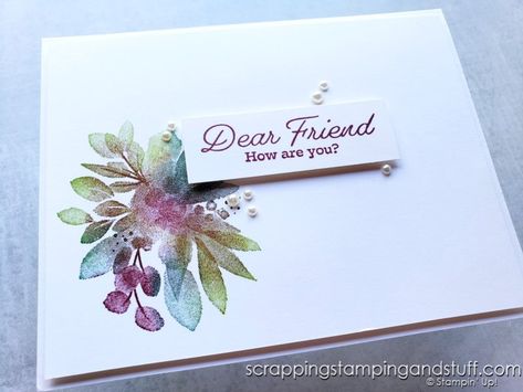 Stampin Up Eden's Garden Special Release Now Available & 6 Card Ideas Stampin Up Eden’s Garden Cards, Eden’s Garden Stampin Up Cards, Screen Cards, Hand Made Greeting Cards, Garden Of Eden, Card Making Tutorials, Get Well Cards, Cards For Friends, Eden