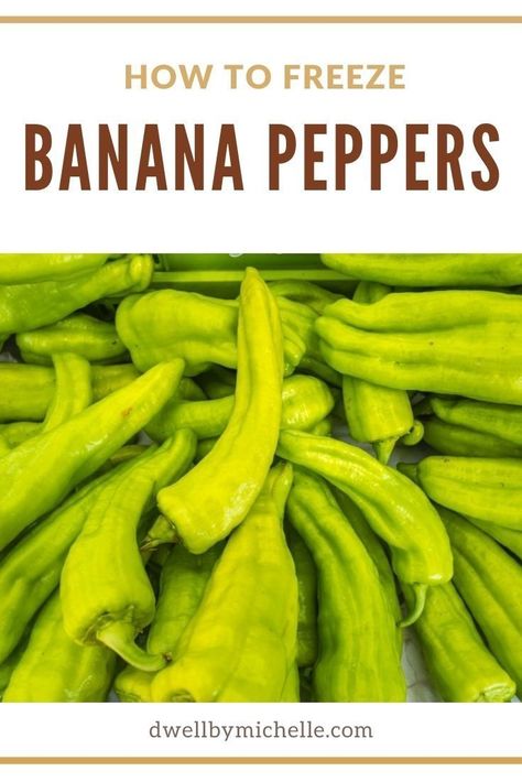 Do you have a lot of banana peppers but don’t know what to do with them? Is the clock ticking down, and you don’t want them to rot? Luckily, you have a few options. You can make some salsa, pickle them, or put them in the freezer to use later. This article will explain how to freeze banana peppers. What Can You Do With Banana Peppers, Can You Freeze Banana Peppers, Can You Freeze Peppers, Storing Banana Peppers, Recipes With Sweet Banana Peppers, How To Freeze Banana Peppers, How To Preserve Banana Peppers, How To Use Banana Peppers, Freezing Banana Peppers