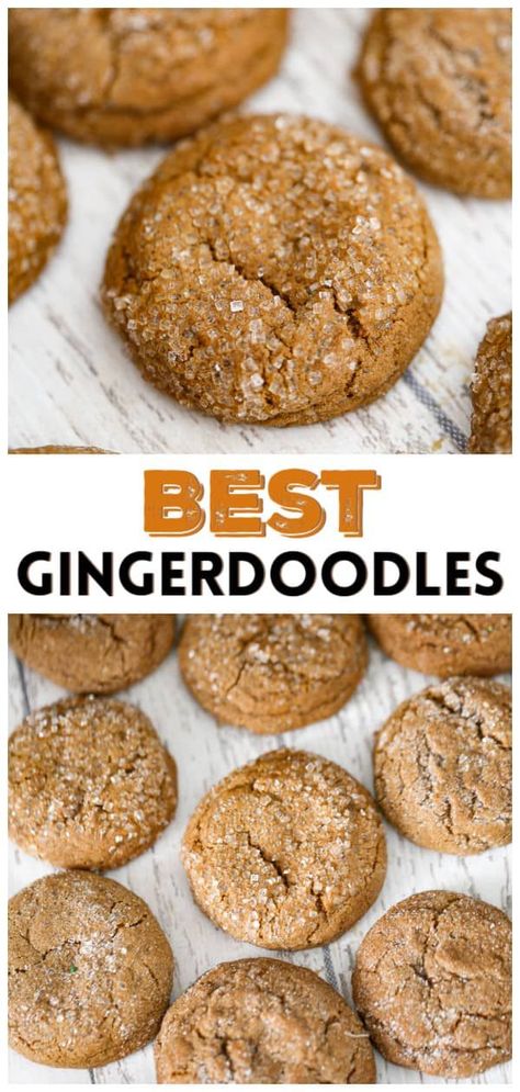 These super-soft Gingerdoodles Cookies are going to be a hit over the holidays! They're warm and comforting, with great flavors of toasty, warm cinnamon and ginger spices, brown sugar and molasses flavor. These Gingerdoodles are great for holiday parties, cookie exchanges and cookie trays - festive cookies to make with the kids. Get the full recipe HERE and learn how to make perfect chewy ginger cookies every time Cookie Recipes Thanksgiving, Spice Cookie Recipes, Ginger Snaps Recipe, Soft Ginger Cookies, Chewy Ginger Cookies, Ginger Cookie Recipes, Soft Cookie Recipe, Cookies To Make, Ginger Molasses Cookies