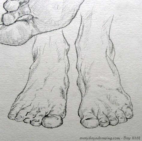 "Drawing of feet from the front" - Davy on Everyday a Drawing Front Feet Drawing, Drawing Feet Front View, How To Draw Feet Front View, Feet Drawing, Drawing Anatomy, Male Figure Drawing, Art Tutorials Watercolor, Beginner Art, Amazing Street Art