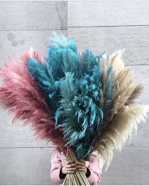 Colorful pampas grass available on my store 🌾 DM to order 💌 Minimum quantity is 5 sticks! #pampasgrassdecor #pampasgrassarrangements #pampasgrass #homedecorstore #pampasgras #colorfulpampasgrass #colorfuldecor #colorfulpampas #redpampas #purplepampas Dried Flowers Diy, Tissue Paper Flowers Diy, Grass Decor, Pampas Grass Decor, Lily Plants, Wedding Floral Centerpieces, Tim Walker, Tissue Paper Flowers, Hand Drawn Flowers