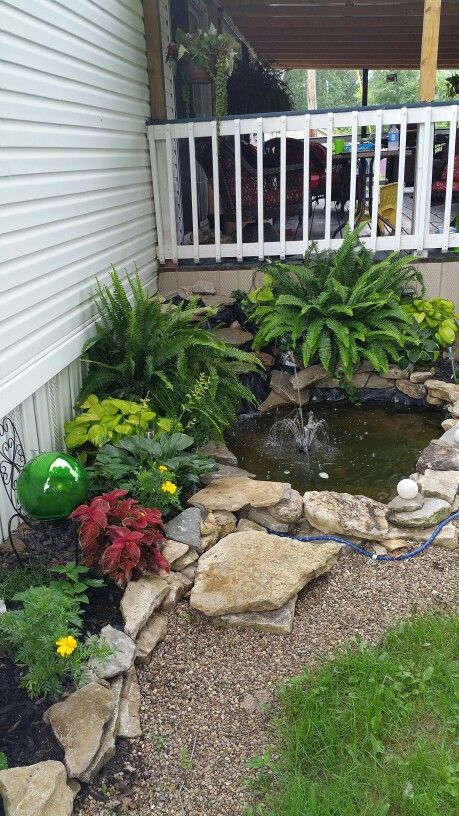 Small Pond Front Yard, Pond In Yard, Rock Garden With Pond, Outdoor Fish Tank Ideas Garden Ponds, Small Koi Pond Ideas Patio, Flower Garden With Pond Ideas, Small Pond With Waterfall Ideas, Pond By House, Small Water Garden Ideas