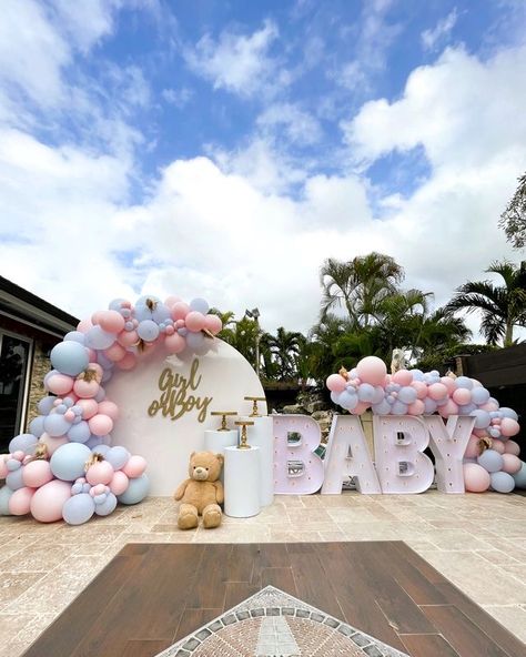 Gender Reveal Ideas For Party Outside, Garden Gender Reveal Party Ideas, Trending Gender Reveal Ideas, Oh Baby Gender Reveal Decorations, How To Reveal Gender, Gender Decoration Ideas, Gender Reavel Party Decorations, Big Gender Reveal Ideas, Gender Reavel Ideas Theme