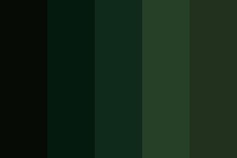 Forest Green Color Aesthetic, Slytherin Color Palette, Dark Forest Color Palette, Dark Green Color Palette, Forest Color Palette, Dark Academia Color Palette, Dark Academia Color, Green Color Palette, Dark Color Palette