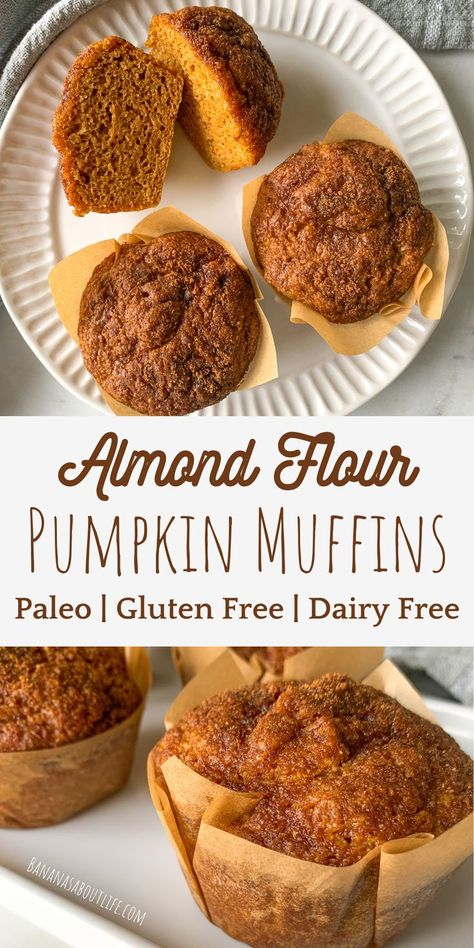 Pumpkin muffins healthy Dairy Free Pumpkin Muffins, Muffins Made With Almond Flour, Almond Flour Pumpkin Muffins, Almond Flour Pumpkin, Paleo Pumpkin Muffins, Healthy Pumpkin Muffins, Gluten Free Pumpkin Recipes, Dairy Free Muffins, Gluten Free Pumpkin Muffins