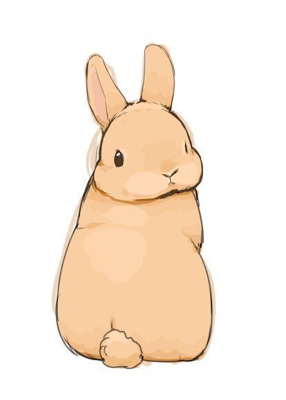 Bunny Drawing, Art Mignon, Rabbit Art, Bunny Art, Kawaii Animals, Dessin Adorable, Animal Sketches, Cute Animal Drawings, Kawaii Drawings