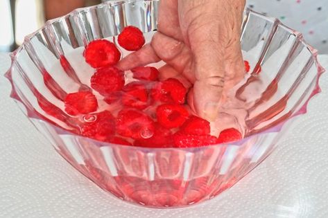 Wash Raspberries, Blanching Vegetables, How To Store Strawberries, Freezing Vegetables, Fruit And Vegetable Wash, Raspberry Extract, Storing Fruit, Fresh Fruit Recipes, Raspberry Fruit