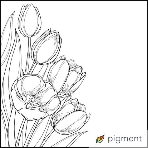 Tulip Flower Drawing, Coloring Pages Ideas, Pages Ideas, Coloring Book Download, Painting Flowers Tutorial, Tiger Drawing, Flower Line Drawings, Flower Drawing Tutorials, Tulip Painting