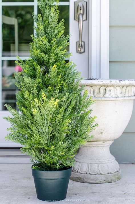 Large Pots Outdoor Front Porches, Fall Planters In Front Of Garage, Front Of House Potted Plants, Best Front Porch Plants, Tall Potted Plants Outdoor Full Sun, Potted Plants For Front Porch, Boxwoods In Planters, Faux Outdoor Plants Front Doors, Evergreen Plants For Pots