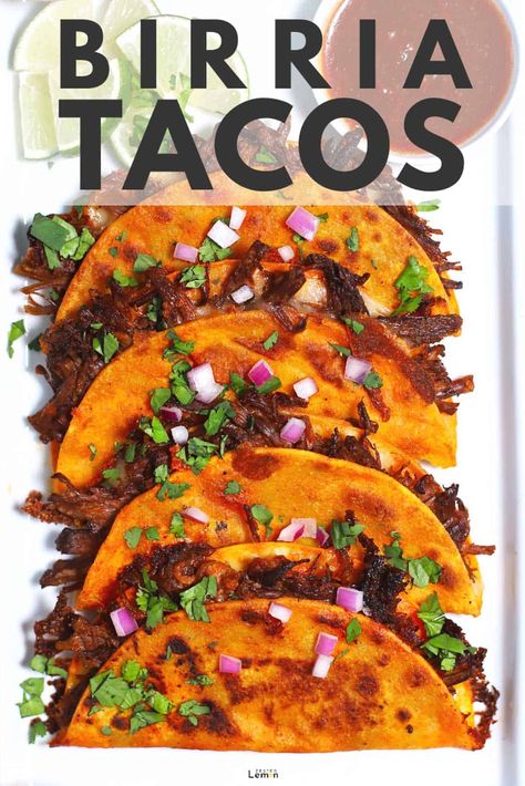 These Birria Tacos will be the best thing you've eaten all year. Tender beef and melty cheese is folded in a crispy tortilla and dipped in a deliciously rich Birria sauce. #birriatacos #birria #tacos #recipe #mexicancuisine| zestedlemon.com via @zestedlemon Quick And Easy Birria Tacos, Short Rib Birria Tacos, Beef Bria Tacos, Non Spicy Birria Tacos, Birraria Tacos, Beef Shank, Melty Cheese, Chipotle Pepper, Tender Beef