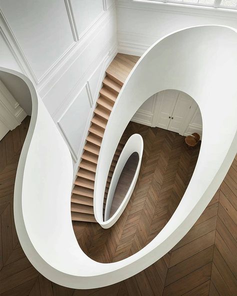 Art Delicate🌹 on Instagram: “An oval staircase in a Boston townhouse rebuilt as modernist sculpture in this playful renovation !😃😍 . Follow:@artdelicate for more!💕…” Boston House, Minimalist Dekor, Timber Staircase, House Staircase, Spiral Stairs, Modern Staircase, Interior Design Magazine, Staircase Design, Minimalist Kitchen