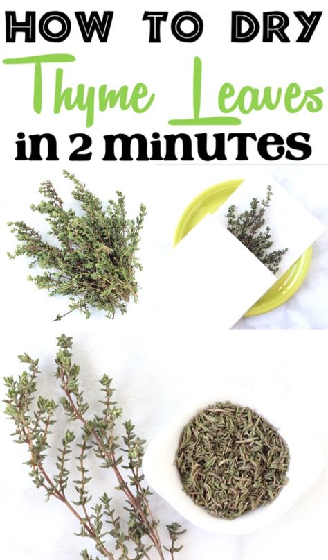 How to Dry Thyme Plant Leaves Fast in Microwave! Perfect for recipes, this is such an easy way to use up your extra thyme from your garden or the grocery store! Drying Thyme, Garlic Ribs Recipe, Thyme Uses, Honey Garlic Ribs, Preserve Fresh Herbs, Drying Fresh Herbs, Mason Jar Herbs, Thyme Plant, Mason Jar Herb Garden