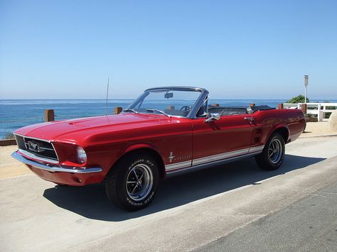 My 1967 Mustang Convertible 1967 Mustang Convertible, Mustang 67, Classic Mustangs, 67 Mustang, Red Mustang, Carros Vintage, 1967 Mustang, Old Vintage Cars, Classic Mustang