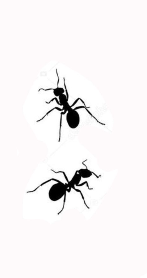 Ant Tattoo Design, Ants Drawings, Ant Coloring Page, Ant Drawing, Ant Tattoo, Tattoo Culture, Album Frames, Side Tattoos, White Picture