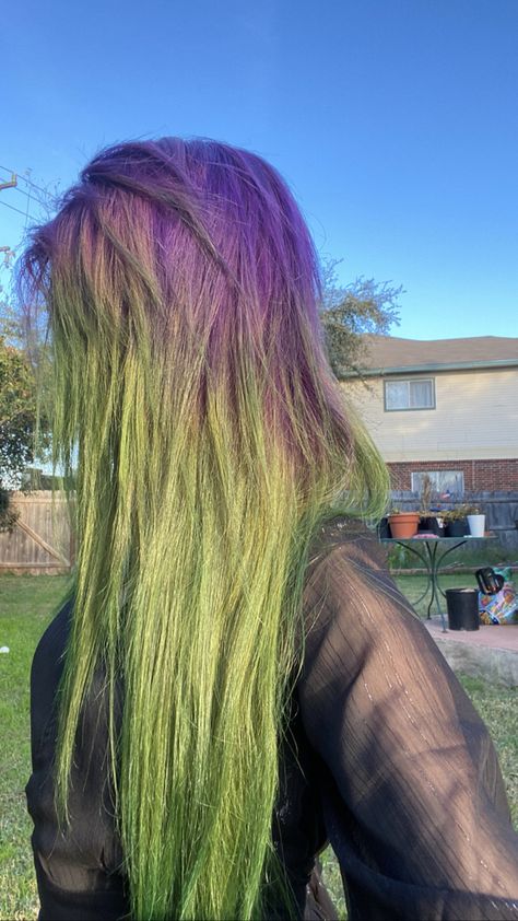 Purple Halloween Hair, Green To Purple Hair, Half Green Half Purple Hair, Dark Green And Purple Hair, Muted Green Hair, Alt Hair Colors, Green Purple Hair, Alt Hairstyles, Purple And Green Hair