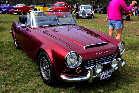 Datsun 1600, Datsun Roadster, Datsun Bluebird, Sweet Cars, Vintage Racing, Repair Manuals, Car Collection, Vintage Car, Classic Car