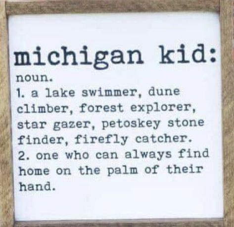 Michigan Aesthetic, Michigan Quotes, Michigan Facts, Michigan Fall, Michigan Adventures, Michigan Girl, Michigan Road Trip, Michigan Art, Michigan Vacations