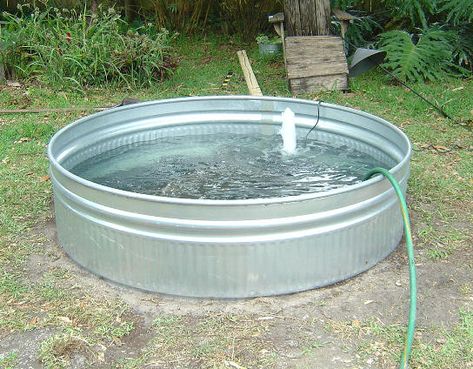 galvanized water troughs | Who's Your Granny? Metal Water Trough, Galvanized Water Trough, Galvanized Trough, Metal Trough, Water Tub, Goldfish Pond, Outdoor Ponds, Water Trough, Floor Scrubber