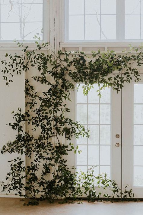 Simple Wedding Greenery, Vine Wedding Decor, Greenery Installation, Greenery Decor, Ceremony Design, Flower Installation, Garden Wedding Inspiration, Sustainable Wedding, Floral Arch