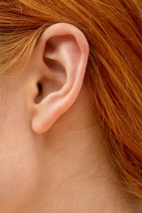 human_ear John Baldessari, Human Ear, Inner Ear, 얼굴 그리기, Ear Wax, Daith Piercing, Ginkgo Biloba, Hearing Loss, Vitamin B12