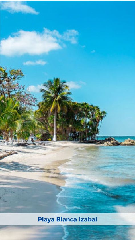 Playa Blanca es un destino turístico que está ubicado en el departamento de Izabal. Este departamento de Guatemala se caracteriza por su ambiente cálido, con vegetación y lugares turísticos llenos de naturaleza. En esta lista se encuentra Playa blanca es área privada y protegida pero permite el acceso público. Guatemala, Pool, Outdoor Decor, Water