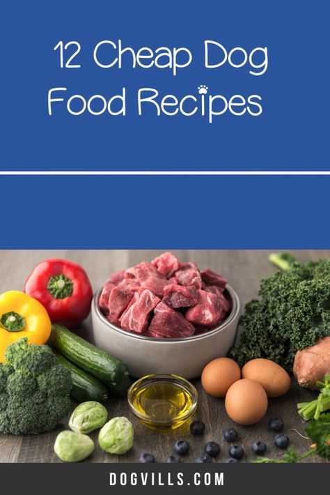 Small Dog Recipes, Cheap Dog Food Recipes Homemade, What To Feed Dogs When Out Of Dog Food, Easy Dog Food Recipes Homemade Instant Pot, Whole Food Dog Food, Cheap Raw Food Diet For Dogs, Homemade Dog Food On A Budget, Cheap Healthy Dog Food Recipes, Cheap Dog Food Recipes