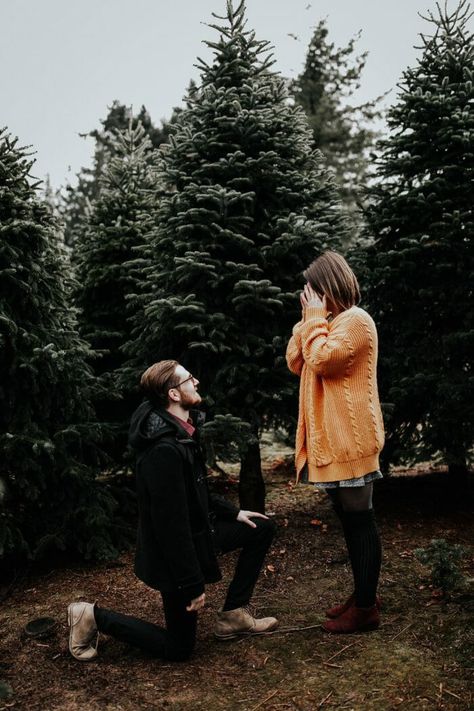 Tree Farm Proposal, Wedding Proposal Pictures, Romantic Ways To Propose, Romantic Proposals, Winter Proposal, Dream Proposal, Christmas Proposal, Proposal Pictures, Ways To Propose