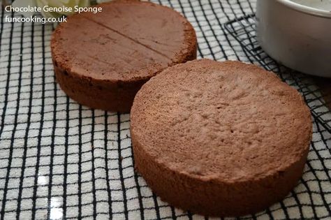 Chocolate Genoise Sponge - Funcooking Genoise Sponge Cake Recipe, Sponge Cake Recipe Best, Craving Cake, Genoise Cake, Fruit And Cream, Genoise Sponge, British Baking Show Recipes, Mini Bakery, Chocolate Cake With Coffee