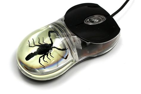 Scorpion Computer Mouse Computer History, Laptop Cooling Pad, Mouse Computer, Dark Grunge, Laptop Mouse, Old Computers, Pc Computer, Dating Site, Scorpion