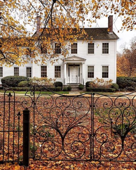 Sunday's Swoon Worthy Styles- Colonial Home Style Front Doors Painted Black, Subtle Fall Decor, Powder Room Renovation, Diy Roman Shades, Black Front Doors, Colonial Exterior, Wrought Iron Gate, American Farmhouse, Colonial Christmas