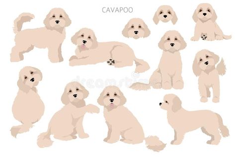 Cavapoo Drawing, Cavapoo Illustration, Teddy Bear Watercolor, Dog Emotions, Cavapoo Dogs, Dog Clip Art, Dog Embroidery, Bear Watercolor, Brown Teddy Bear