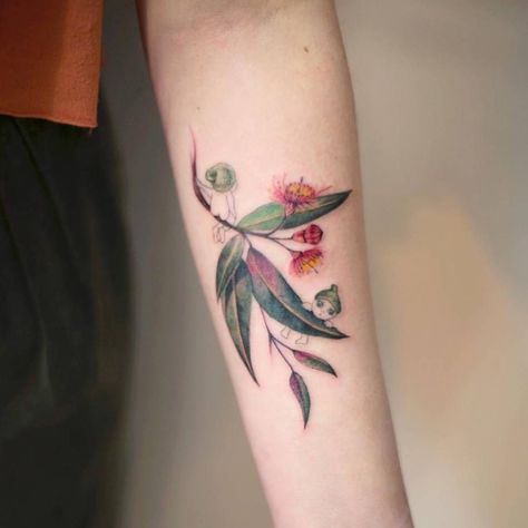 Gumtree Tattoos, Australian Native Flowers Tattoo, Australian Flowers Tattoo, Australian Botanical Tattoo, Australian Flower Tattoo, Australian Native Tattoo, Native Flower Tattoo, Native Australian Flowers Tattoo, Native Australian Flowers