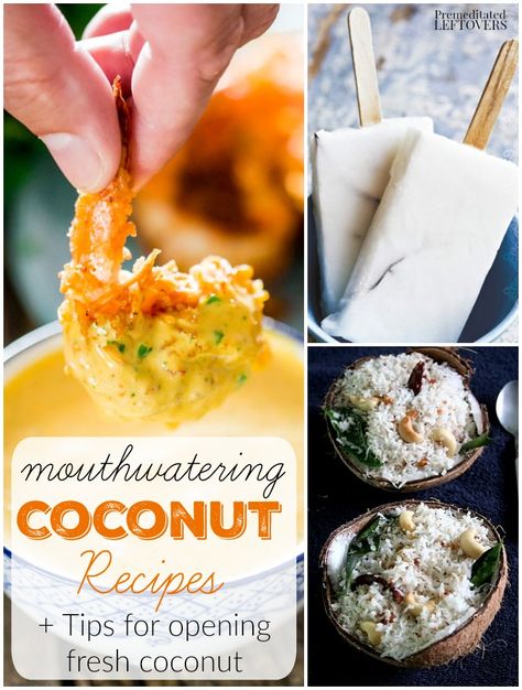 10 Mouthwatering Coconut Recipes- Learn a simple way to crack open and toast fresh coconut. You will enjoy using it in these 10 delicious coconut recipes! Fresh Coconut Meat Recipes, Coconut Meat Recipes, Party Main Course, Coconut Meat, Recipes Learn, Fresh Coconut, Appetizers Recipes, Favorite Meals, Coconut Recipes