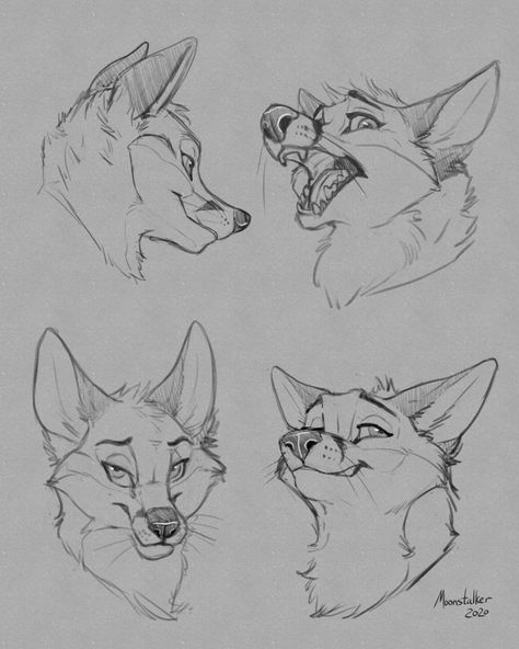 Line Art Study, Canine Head Reference, How To Draw Animal Snouts, Wolf Face Drawing Reference, Wolf Mouth Drawing Reference, Fox Reference Drawing, Cat Muzzle Tutorial, Drawing Fox Sketches, Fox Drawing Reference