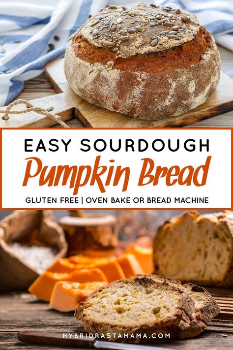 This easy sourdough pumpkin bread is sure to be a hit! It is gluten free and can be oven baked or made in a bread machine. Either way you end of with a golden crust and a fluffy sourdough center. Make some gluten free sourdough pumpkin bread soon! #sourdoughbread #glutenfreesourdoughbread #glutenfreepumpkinsourdoughbread From HybridRastaMama.com Sourdough Pumpkin Bread, Sourdough Desserts, Pumpkin Sourdough, Sourdough Pumpkin, Gluten Free Sourdough Bread, Whole Wheat Sourdough, Gluten Free Sourdough, Pumpkin Cranberry, Sourdough Starter Recipe