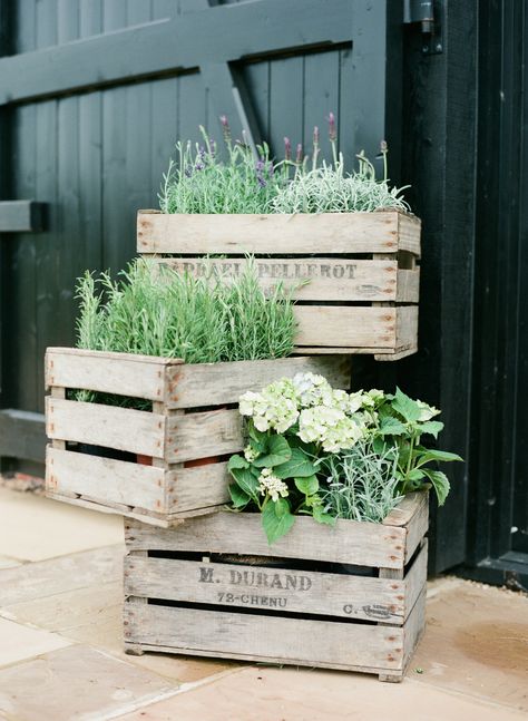 Plants In Wooden Crates, Wooden Crate Planters, Wooden Crate Planter Ideas, Sempervivum Garden, Wine Box Garden, Wooden Crates Garden, Herb Garden Planter, Creative Garden Decor, Herb Boxes