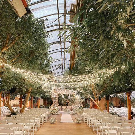 It's giving fairytale wedding vibes 🩷✨🎀 🏷️ #fairytalewedding #wedding #wedmegood #theknot #bride #bridetobe #torontowedding #weddingday #couplegoals #weddingdecor #weddinggoals #weddingdetails #madisongreenhouse #weddingbliss #2024weddings #weddingvibes #weddingceremony #weddingreception Wedding Vibes, Toronto Wedding, Wedding Goals, Fairy Tale Wedding, Fairytale Wedding, Wedding Details, Couple Goals, Wedding Ceremony, Wedding Reception