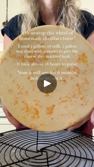 69K views · 19K reactions | Cheddar Recipe (2 gallons — double as needed)  2 gallons raw milk  1/8 teaspoon cheddar culture  1/2 teaspoon liquid rennet dissolved in 1/2 cup warm water 2 tablespoons cheese salt 1/4 teaspoon annatto if you want it orange or marbled — quantity will vary!  Heat milk to 88°F. I bring mine straight in from the cow, but if you are using refrigerated milk do this slowly. I like to fill a sink with very hot water and put my milk pot in the hot water. If making marbled cheddar, divide the milk into 2 pots.   Sprinkle the culture on top, do not mix yet. Set a timer for 5 minutes.   Stir in the culture using an up/down motion. Try not to break the surface as you gently mix. No swirling!  Cover and let sit for 45 minutes, keeping the temp at 88°F.   Add rennet & annatt Cheese Press, Cheddar Recipes, Cheese Making Recipes, Homemade Bows, Milk Pot, Homemade Cheese, 50 Pounds, Big Bowl, Amazon Storefront