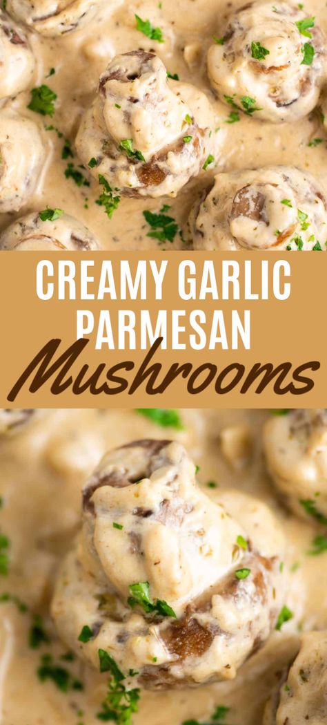 Garlic Mushrooms Recipes, Mushroom Side Dishes, Baby Bella Mushrooms, Mushroom Recipes Healthy, Creamy Garlic Mushrooms, Mushroom Cream Sauces, Garlic Cream Sauce, Mushroom Dish, Creamy Garlic Sauce