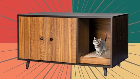 Discreet end tables, ottomans and shelves that hide litter boxes and actually look like furniture. Hidden Litter Boxes, Niche Chat, Cat Litter Box Enclosure, Litter Box Furniture, Litter Box Enclosure, House Guests, Cat Litter Box Furniture, House Cat, Pet House