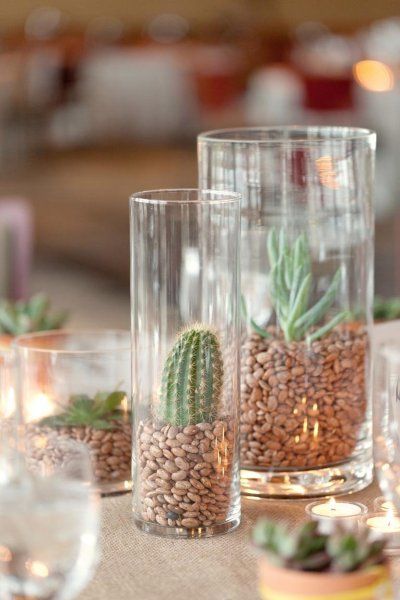 Kreative Snacks, Tafel Decor, Cactus Party, Mexican Party Theme, Succulent Centerpieces, Heart Photography, Deco Nature, Southwest Decor, Cactus Decor