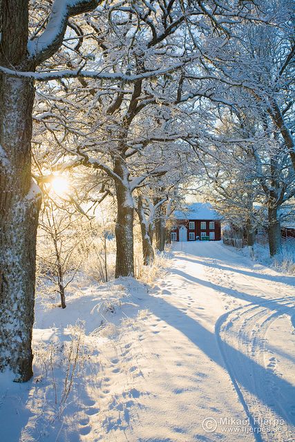 winter wonderland Winter Road, I Love Snow, Winter's Tale, I Love Winter, Winter Love, Winter Sun, Winter Magic, Winter Scenery, Winter Beauty