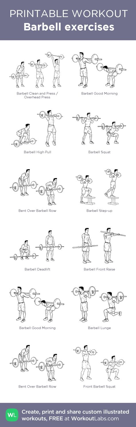 Barbell exercises: my visual workout created at WorkoutLabs.com • Click through to customize and download as a FREE PDF! #customworkout Bar Bell Workout, Planning Sport, Barbell Exercises, Barbell Deadlift, Workout Labs, Body Building Tips, Printable Workout, Motivație Fitness, Barbell Workout