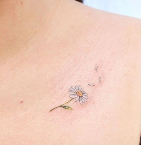 Daisy Losing Petals Tattoo, Daisy And Dandelion Tattoo, Rainbow Daisy Tattoo, White Ink Daisy Tattoo, Daisy Chest Tattoo, Daisy Collar Bone Tattoo, Tattoo Daisy Flower, Daisy Fine Line Tattoo, Petal Tattoos