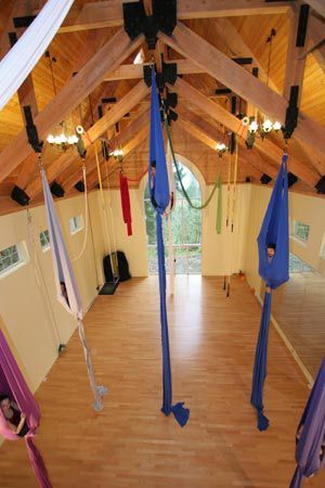 Aerial Studio, Man Cave Inspiration, Good Bar, Cool Basement Ideas, Cool Basement, Basement Ideas Man Cave, Career Goal, Aerial Silk, Aerial Fitness