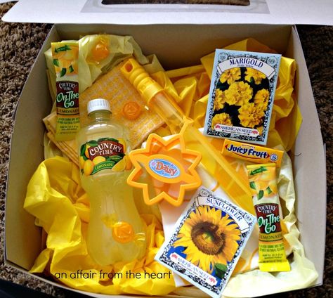 Brighten Someone’s Day with a Box Full of Sunshine!! | An Affair from the Heart Sunshine Basket, Sunshine Box, Marigold Seeds, Bolo Barbie, Boyfriend Gift Basket, Secret Pal, Box Of Sunshine, Yellow Gifts, Care Packages