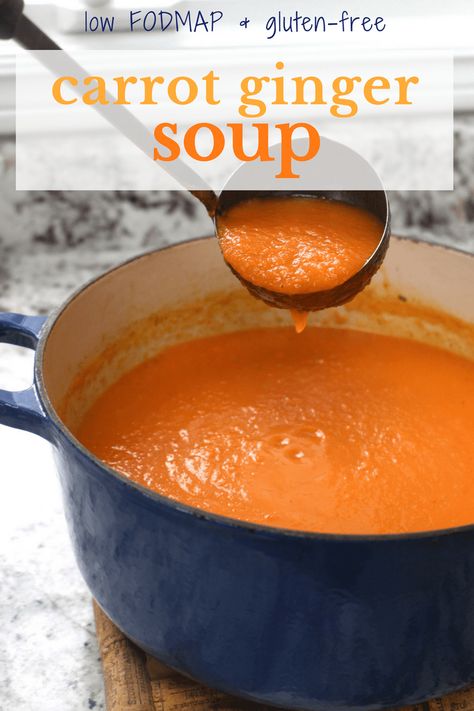 Vegan & Low FODMAP Carrot Ginger Soup Low Fodmap Appetizers, Fodmap Lunch, Fodmap Recipes Dinner, Low Fodmap Recipes Dinner, Fodmap Friendly Recipes, Low Fodmap Diet Recipes, Carrot Ginger Soup, Fodmap Diet Recipes, Ginger Soup