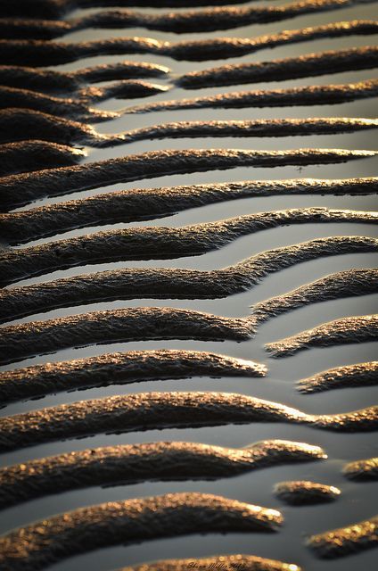 Sandscape - sunrise gleaming off the sand Alice Fox, Photography Beach, Sand And Water, Abstract Nature, Abstract Photography, Natural Forms, Land Art, Surface Textures, Patterns In Nature