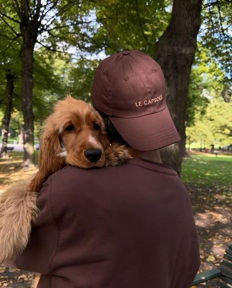 Gerard Sabe, Ideal Boyfriend, Instagram Photo Inspiration, You Are Perfect, Cocker Spaniel, Sea Animals, Dog Days, Old Money, Spaniel